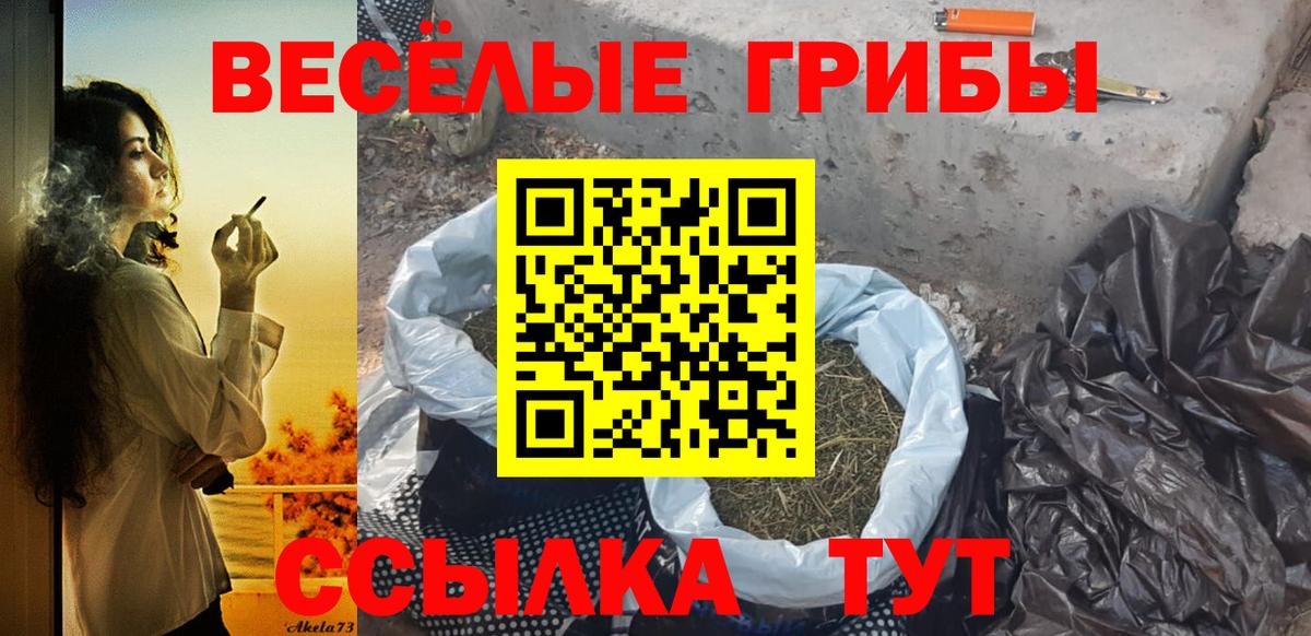 Краснодар  Галлюциногенные грибы MAGIC MUSHROOMS  Галлюциногенные грибы MAGIC MUSHROOMS  Вход с VPN 